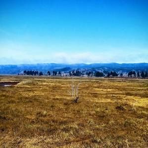 Meet your Posher, Annette